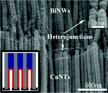 Graphical abstract: Electrochemical synthesis of metal and semimetal nanotube–nanowire heterojunctions and their electronic transport properties