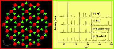 Graphical abstract: A (4,2)-connected niobium phosphate Na13Nb3P6O28F2 with a unique 6.12-net layer: Synthesis, structure and ion exchange properties