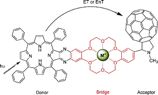 Graphical abstract: Metal ion dependent fluorescence quenching in a crown ether bridged porphyrin–fullerene dyad