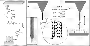 Graphical abstract: Chemical modifications of AFM tips for the study of molecular recognition events