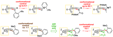 Graphical abstract: Achieving conformational control over C–C, C–N and C–O bonds in biaryls, N,N′-diarylureas and diaryl ethers: advantages of a relay axis