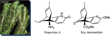 Graphical abstract: A concise and convergent (formal) total synthesis of huperzine A