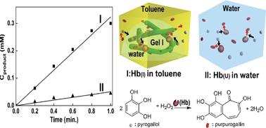 Graphical abstract: Molecular hydrogel-immobilized enzymes exhibit superactivity and high stability in organic solvents