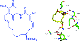 Graphical abstract: Synthetic ansamycins prepared by a ring-expanding Claisen rearrangement. Synthesis and biological evaluation of ring and conformational analogues of the Hsp90 molecular chaperone inhibitorgeldanamycin