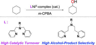 Graphical abstract: Ligand effects on NiII-catalysed alkane-hydroxylation with m-CPBA