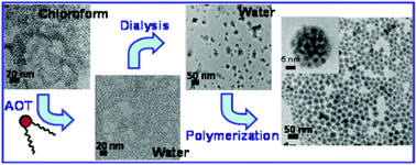 Graphical abstract: Semiconductor–polymer hybrid colloidal nanoparticles