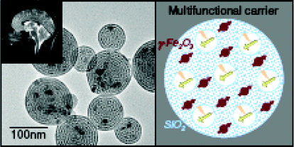 Graphical abstract: Mesoporous maghemite–organosilica microspheres: a promising route towards multifunctional platforms for smart diagnosis and therapy