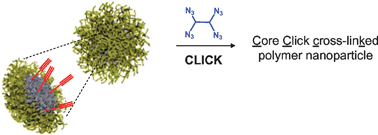 Graphical abstract: Preparation of orthogonally-functionalized core Click cross-linked nanoparticles
