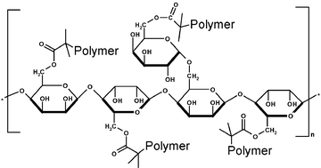 Graphical abstract: Synthesis of well-defined Locust Bean Gum-graft-copolymers using ambient aqueous atom transfer radical polymerisation