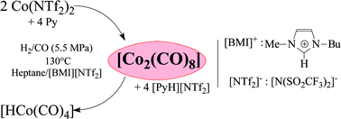 Graphical abstract: Unexpected reduction pathway of a Co2+ salt to [HCo(CO)4] via [Co2(CO)8] in an ionic liquid