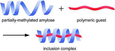 Graphical abstract: Partially-methylated amyloses as effective hosts for inclusion complex formation with polymeric guests