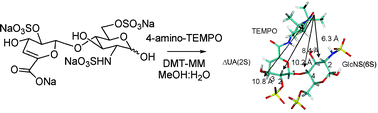 Graphical abstract: DMT-MM mediated functionalisation of the non-reducing end of glycosaminoglycans