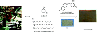 Graphical abstract: Synthesis of a novel cardanol-based benzoxazine monomer and environmentally sustainable production of polymers and bio-composites