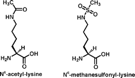 Graphical abstract: N ε-Methanesulfonyl-lysine as a non-hydrolyzable functional surrogate for Nε-acetyl-lysine