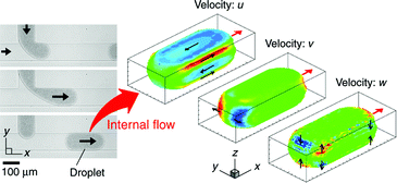 Graphical abstract: Three-dimensional measurement and visualization of internal flow of a moving droplet using confocal micro-PIV