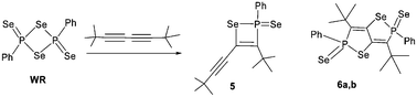 Graphical abstract: Unexpected four- and eight-membered organo P–Se heterocycles