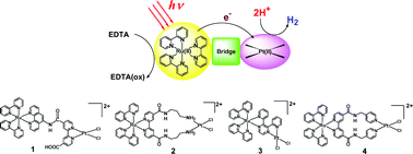 Graphical abstract: Syntheses, characterization, and photo-hydrogen-evolving properties of tris(2,2′-bipyridine)ruthenium(ii) derivatives tethered to a cis-Pt(ii)Cl2 unit: insights into the structure–activity relationship