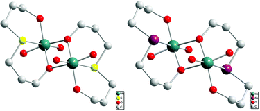 Graphical abstract: Structural, electrochemical and oxygen atom transfer properties of a molybdenum selenoether complex [Mo2O4(OC3H6SeC3H6O)2] and its thioether analogue [Mo2O4(OC3H6SC3H6O)2]