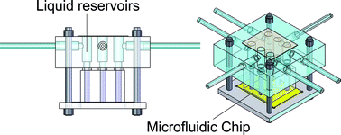 Graphical abstract: A simple pneumatic setup for driving microfluidics