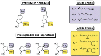 Graphical abstract: Novel synthetic strategies for the preparation of prostacyclin and prostaglandin analogues – off the beaten track