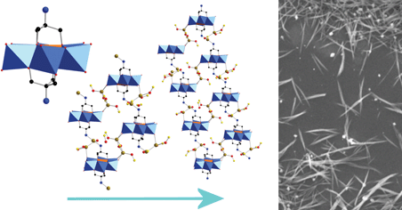 Graphical abstract: From polyoxometalate building blocks to polymers and materials: the silver connection