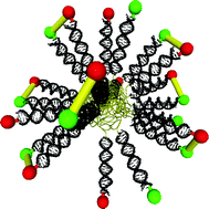 Graphical abstract: DNA meets synthetic polymers—highly versatile hybrid materials