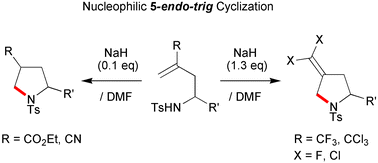 Graphical abstract: Nucleophilic 5-endo-trig cyclizations of N-homoallylic sulfonamides: a facile method for the construction of pyrrolidine rings