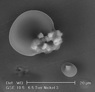 Graphical abstract: The hygroscopic behaviour of individual aerosol particles in nickel refineries as investigated by environmental scanning electron microscopy
