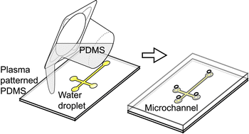 Graphical abstract: Rapid fabrication of microchannels using microscale plasma activated templating (μPLAT) generated water molds