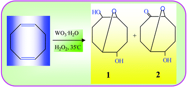 Graphical abstract: A green process for O-heterocyclization of cycloocta-1,5-diene by peroxotungstic species with aqueous H2O2