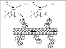 Graphical abstract: A fullerene–single wall carbon nanotube complex for polymer bulk heterojunction photovoltaic cells