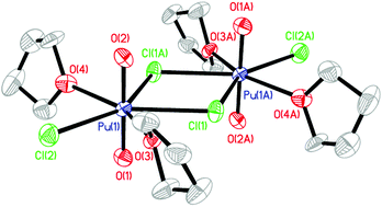 Graphical abstract: An entry route into non-aqueous plutonyl coordination chemistry