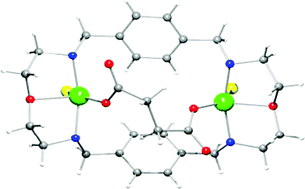 Graphical abstract: Dicopper(ii) complexes of a new di-para-xylyldioxatetraazamacrocycle and cascade species with dicarboxylate anions: thermodynamics and structural properties