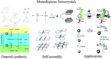 Graphical abstract: Monodisperse nanocrystals: general synthesis, assembly, and their applications