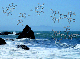 Graphical abstract: Some recent advances in the synthesis of polycyclic imidazole-containing marine natural products