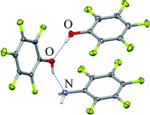 Graphical abstract: On the polymorphs of pentafluorophenol and its 2 : 1 co-crystal with pentafluoroaniline