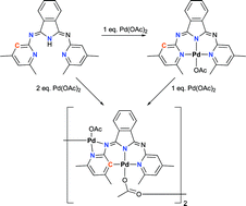 Graphical abstract: Cyclometalation vs. Werner-type coordination of sterically enforced palladium(ii)-1,3-bis(pyridyl-2-imino)isoindolines (Pd-BPIs)