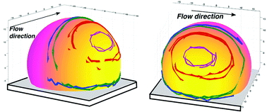 Graphical abstract: Adhesion induced non-planar and asynchronous flow of a giant vesicle membrane in an external shear flow