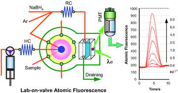 Graphical abstract: The development of a miniature atomic fluorescence spectrometric system in a lab-on-valve for mercury determination