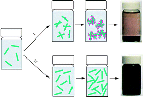 Graphical abstract: How nucleation affects the aggregation of nanoparticles