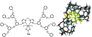 Graphical abstract: Rhodium(iii) complexes with a bidentate N-heterocyclic carbene ligand bearing flexible dendritic frameworks