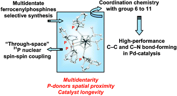 Graphical abstract: New concepts in multidentate ligand chemistry: effects of multidentarity on catalytic and spectroscopic properties of ferrocenyl polyphosphines