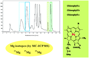 Graphical abstract: Magnesium isotope analysis of different chlorophyll forms in marine phytoplankton using multi-collector ICP-MS