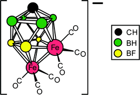Graphical abstract: Synthesis and reactivity of fluorinated ferracarborane anions