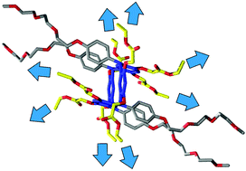 Graphical abstract: Novel octavalent cross-linker displays efficient trapping of protein–protein interactions