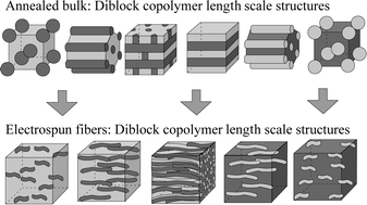 Graphical abstract: Tailoring of the hierarchical structure within electrospun fibers due to supramolecular comb-coil block copolymers: polystyrene-block-poly(4-vinyl pyridine) plasticized by hydrogen bonded pentadecylphenol