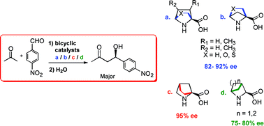 Graphical abstract: Bicyclic proline analogues as organocatalysts for stereoselective aldol reactions: an in silico DFT study