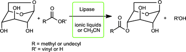 Graphical abstract: Enzymatic acylation of levoglucosan in acetonitrile and ionic liquids