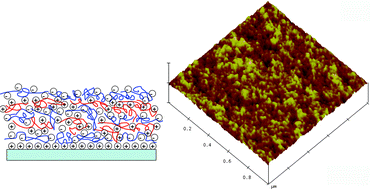 Graphical abstract: Supramolecular assembly of water-soluble poly(ferrocenylsilanes): multilayer structures on flat interfaces and permeability of microcapsules