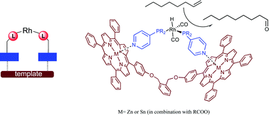 Graphical abstract: Supramolecular bidentate phosphorus ligands based on bis-zinc(ii) and bis-tin(iv) porphyrin building blocks